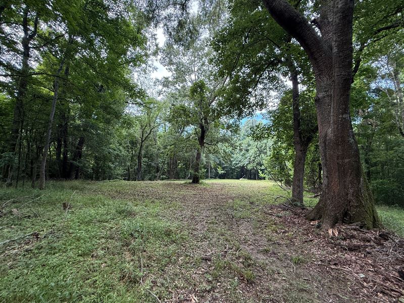 Ms, Jefferson 17 Acres : Lorman : Jefferson County : Mississippi