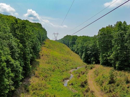 Cathey's Creek : Mount Pleasant : Maury County : Tennessee
