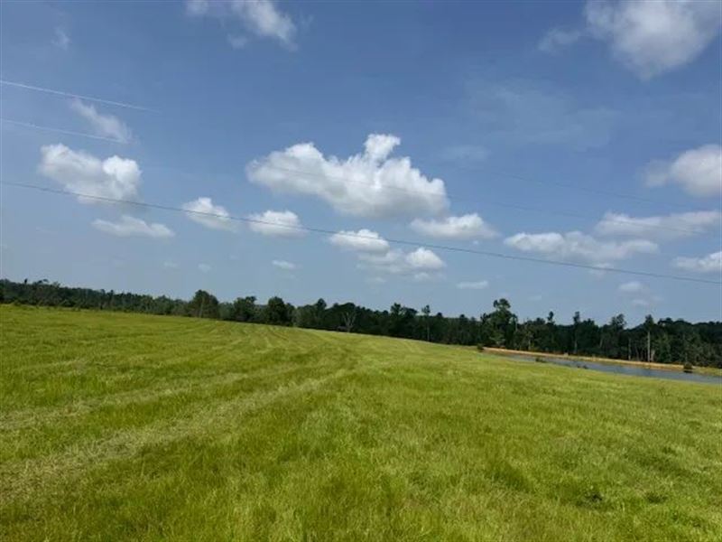 17.68 Acres On Dykes Walthall Rd : McComb : Pike County : Mississippi