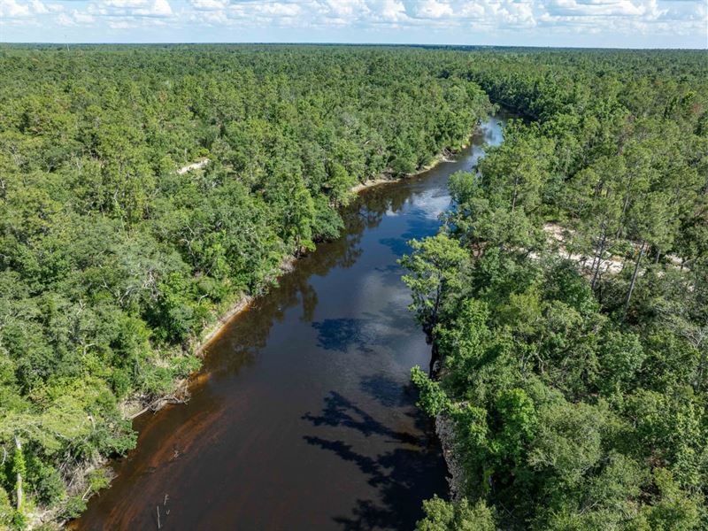 9.31 Acres in Withlacoochee Riv : Jasper : Hamilton County : Florida