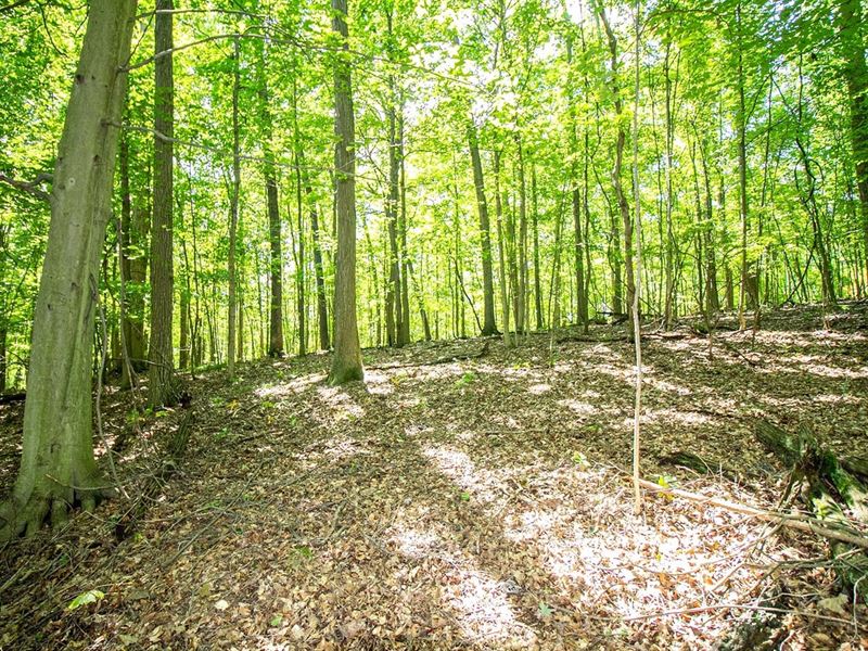 Mishey Rd, 3 Acres : Bellville : Richland County : Ohio