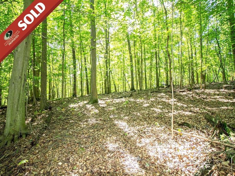 Mishey Rd, 3 Acres : Bellville : Richland County : Ohio