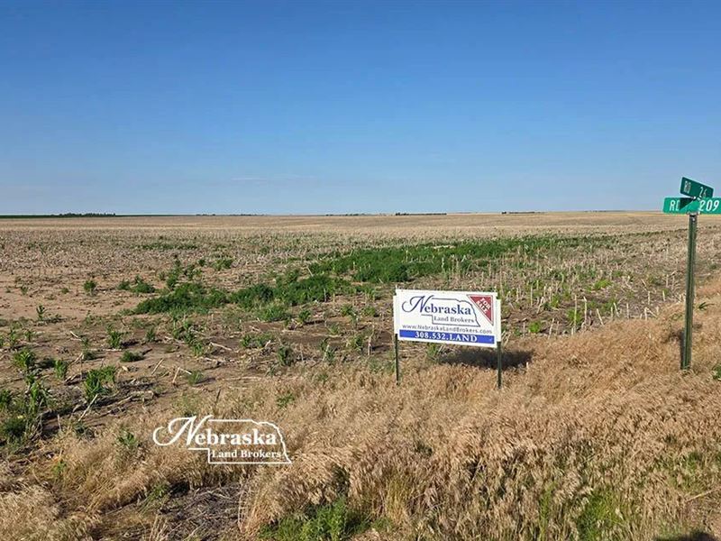 Deuel County Line Non-Irrigated Far : Big Springs : Deuel County : Nebraska