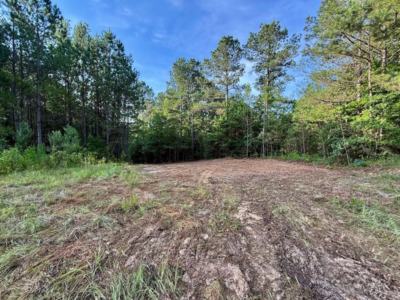 70 Acres in Winston County, MS : Noxapater : Winston County : Mississippi