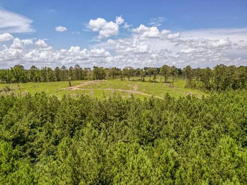 Land For Sale in Amite County, MS : Liberty : Amite County : Mississippi