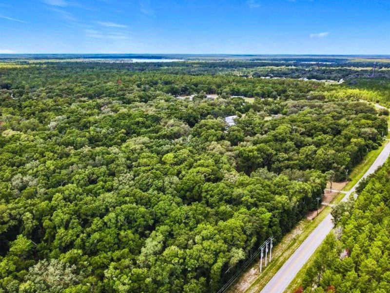 Raw Land Deal Only $249 Down : Pomona Park : Putnam County : Florida