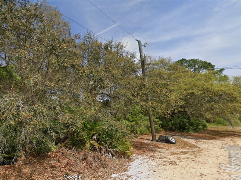 Raw Land Deal Only $249 Down : Pomona Park : Putnam County : Florida