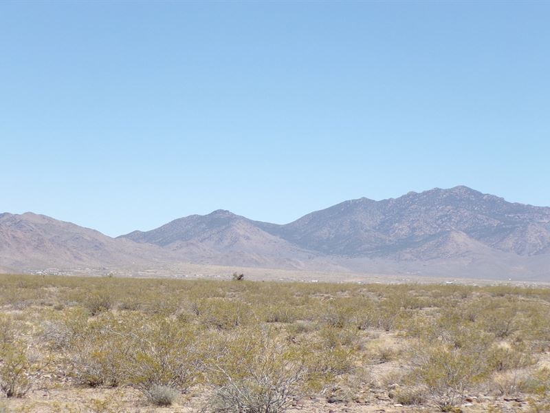 Your Land, Your Way, No HOA : Dolan Springs : Mohave County : Arizona