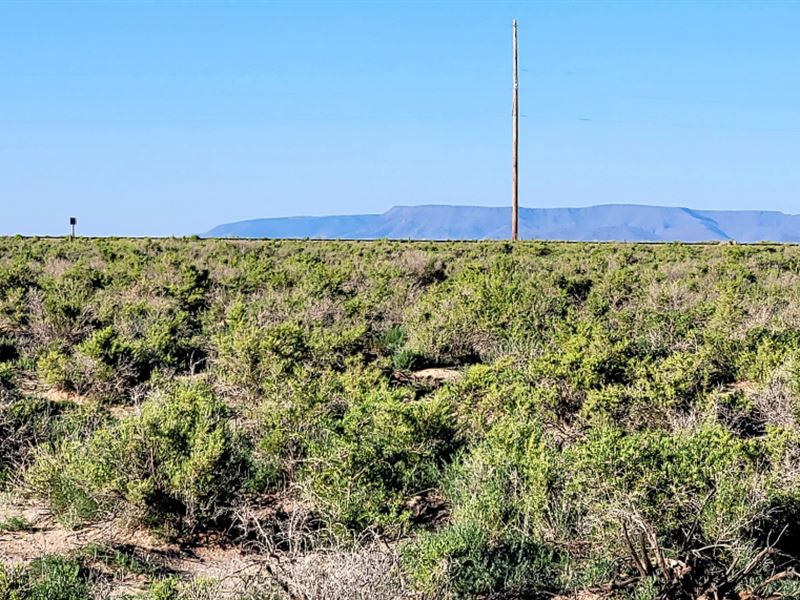 3.33 Acres in Alamosa County, CO : Alamosa : Alamosa County : Colorado