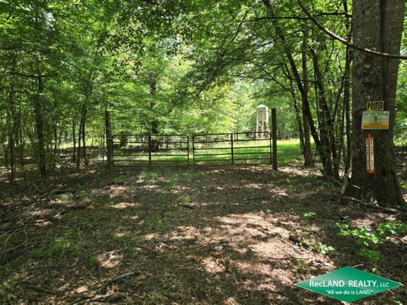 80 ac, Bottomland Hunting : Marion : Union Parish : Louisiana