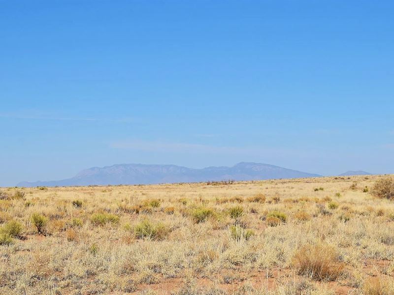 Your Desert Escape Awaits Here : Belen : Valencia County : New Mexico