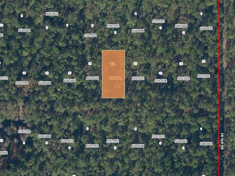 Freedom Day Land Deal at $18 Down : Federal Point : Putnam County : Florida