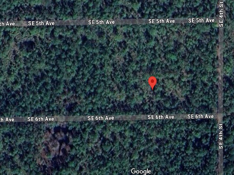 Rural Land, Real Freedom, $18 Down : Federal Point : Putnam County : Florida
