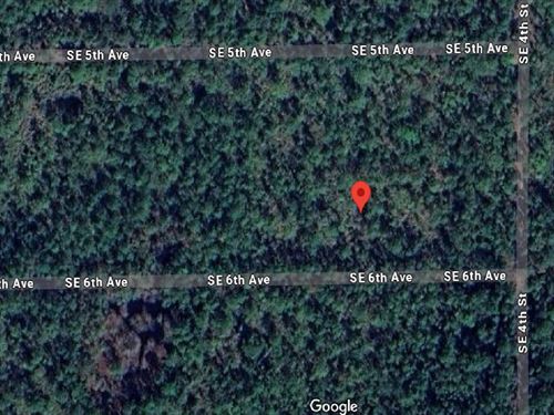 Rural Land, Real Freedom, $18 Down : Federal Point : Putnam County : Florida