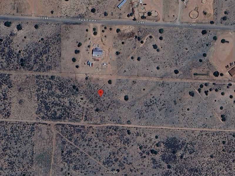 Land Freedom-Affordable Getaway : Sanders : Apache County : Arizona