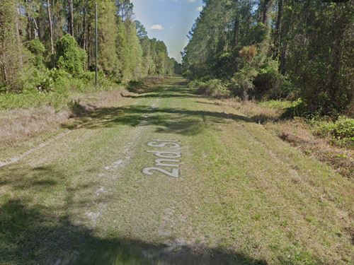 Residential Lot Near Water : Georgetown : Putnam County : Florida