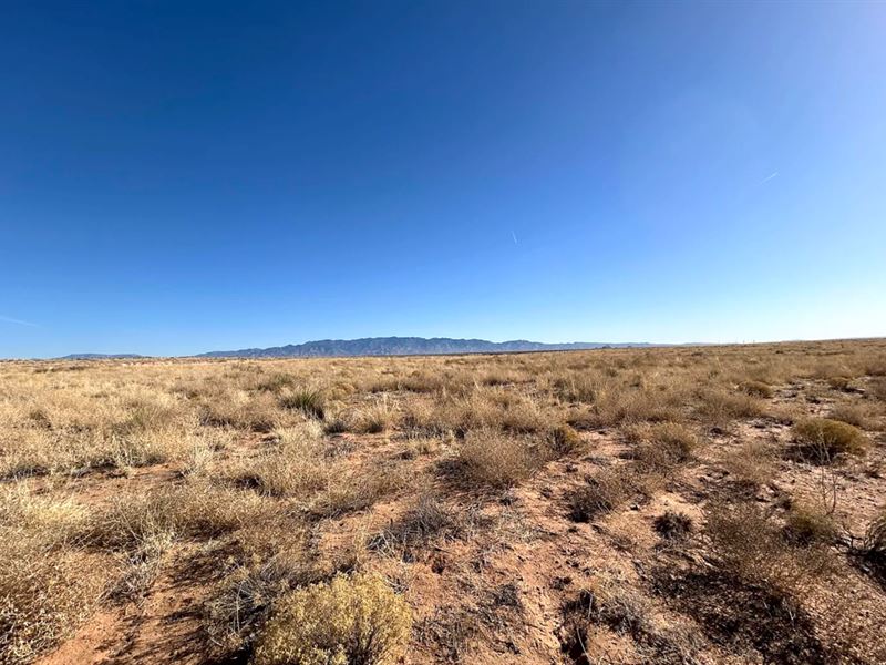 Quiet Country Living Near Belen, NM : Belen : Valencia County : New Mexico