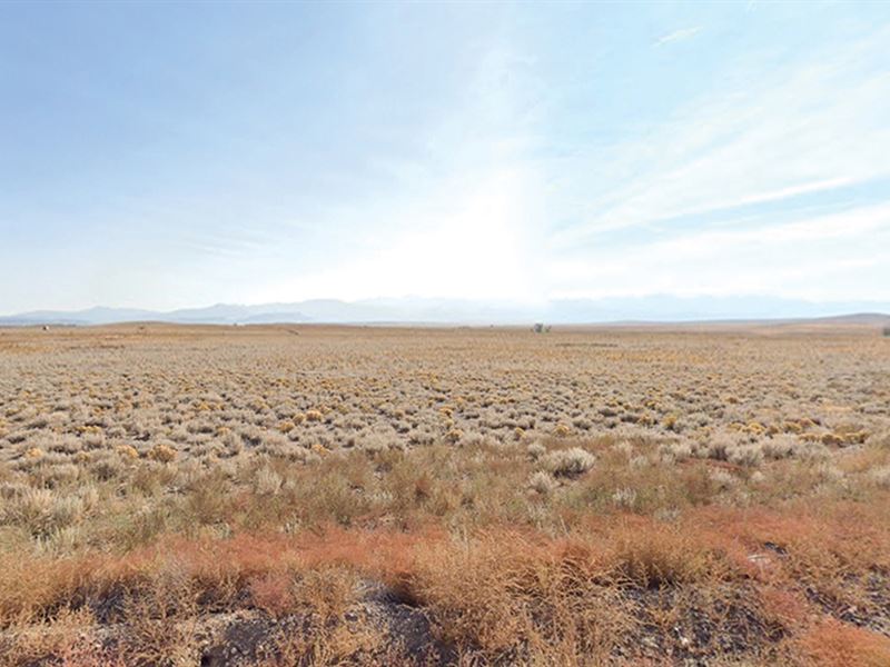 Five Acre Lot in Costilla, CO : Blanca : Costilla County : Colorado