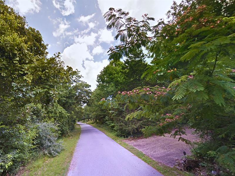 This $99 Buildable Lot : Gainesville : Ozark County : Missouri