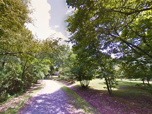 Blink and Gone Ozark 0.12 Acre : Gainesville : Ozark County : Missouri