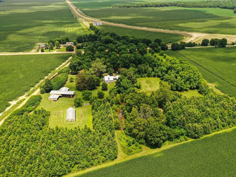 Self-Sufficient Farm with Home, Sho : Louise : Humphreys County : Mississippi
