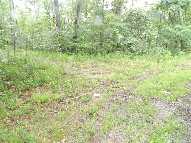 Wooded,Private,Public Water : Pikeville Tn : Bledsoe County : Tennessee