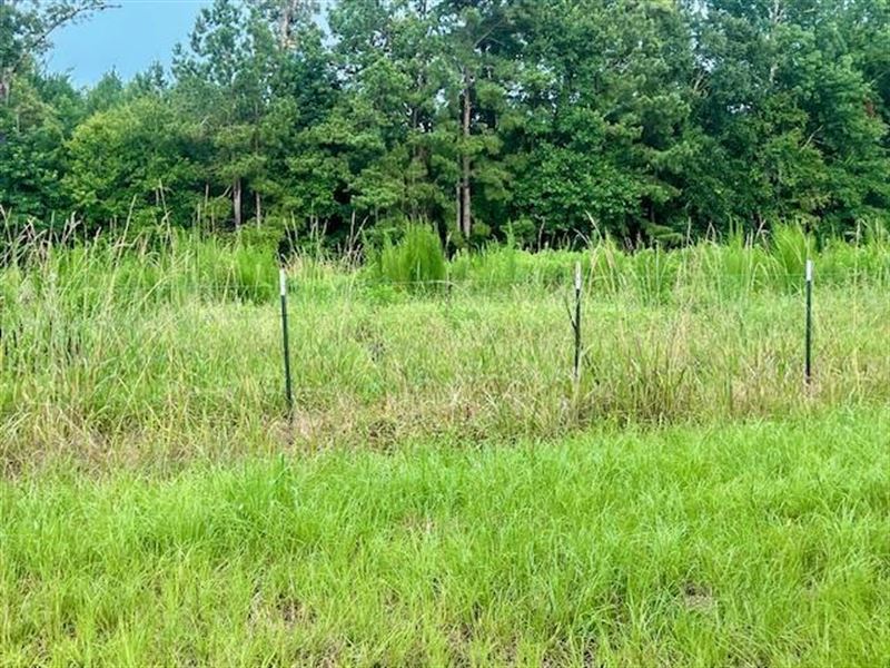 Peaceful 2+ Acres, West Lincoln : Smithdale : Lincoln County : Mississippi
