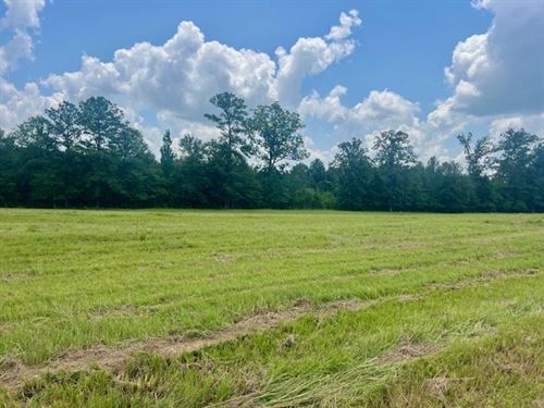 Peaceful 2+ Acres, West Lincoln : Smithdale : Lincoln County : Mississippi