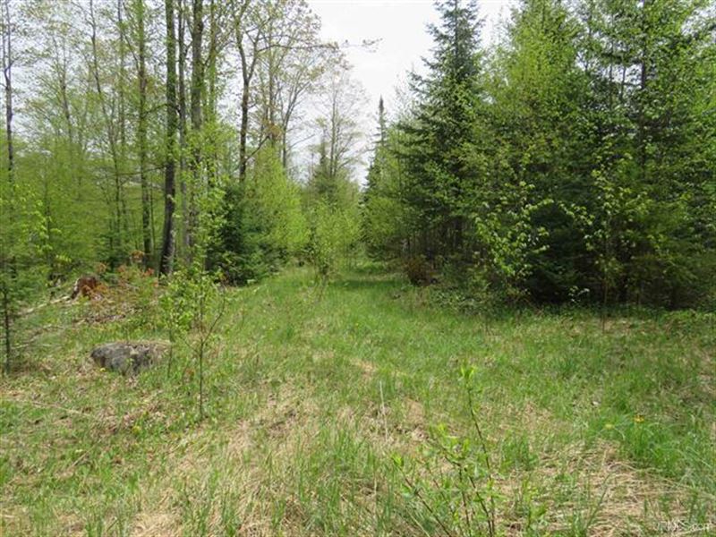 Michigan Wooded 32 +/- Acres 501804 : Covington : Baraga County : Michigan