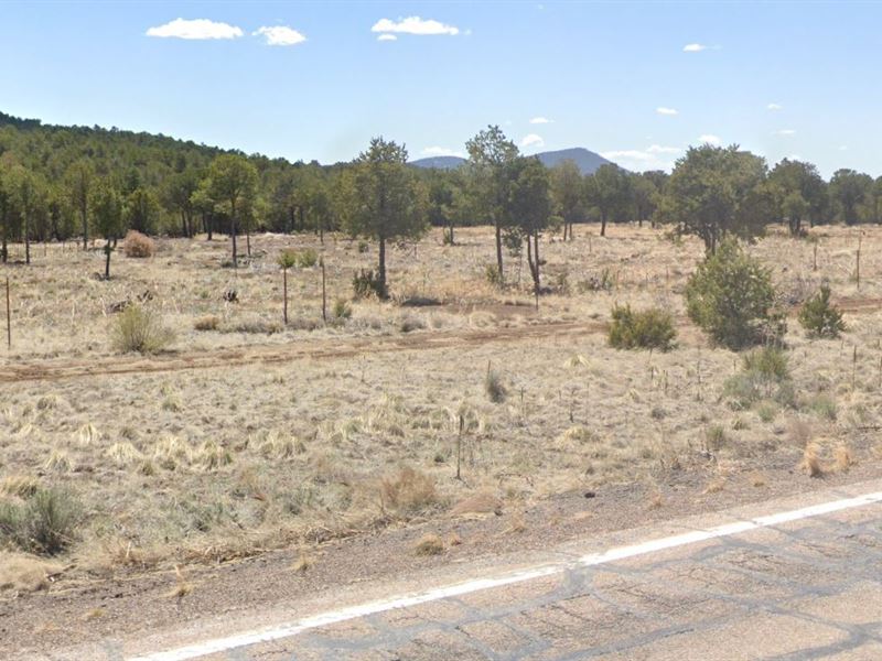 Show Low, AZ 1.39 Acre Only $250/Mo : Show Low : Apache County : Arizona