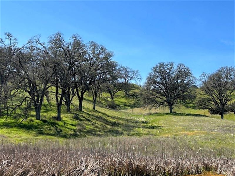 Scenic 3.05 Acre Lot in Lakeport : Lakeport : Lake County : California
