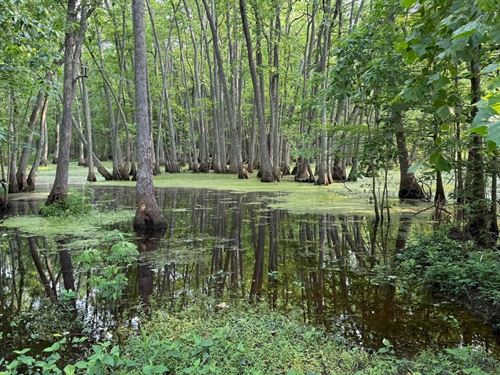 Faulkner Lake Hunting Club : North Little Rock : Pulaski County : Arkansas