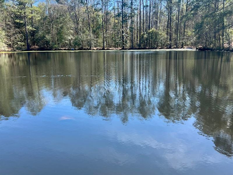 10-053 Bush Farm : McKenzie : Butler County : Alabama