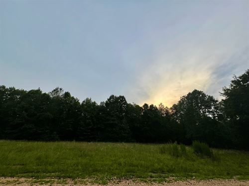 1.25 Buildable Acres : Waterloo : Lauderdale County : Alabama