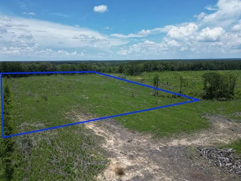 Land for Sale in Amite County, MS : Liberty : Amite County : Mississippi