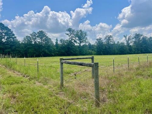 Peaceful Pastures, Prime Location : Smithdale : Lincoln County : Mississippi