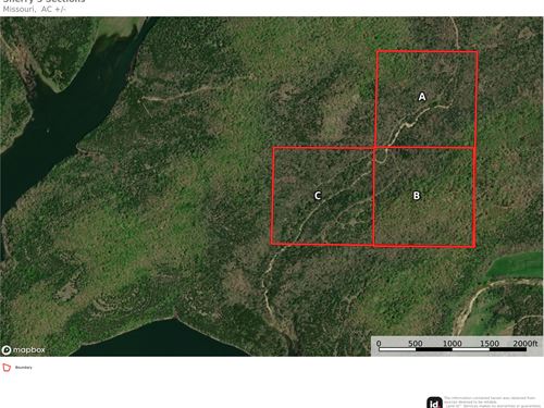 40 Acre Parcels, Choice of 3 : Gainesville : Ozark County : Missouri