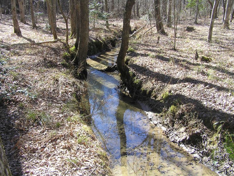 Creek Woods Homesite : Spencer : Van Buren County : Tennessee