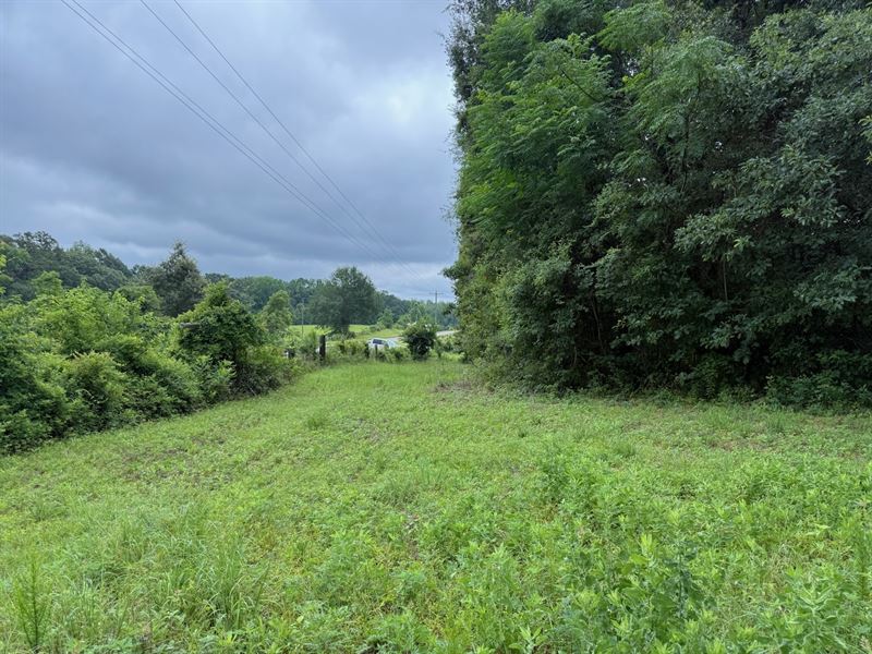 West Side Seven : Grady : Montgomery County : Alabama
