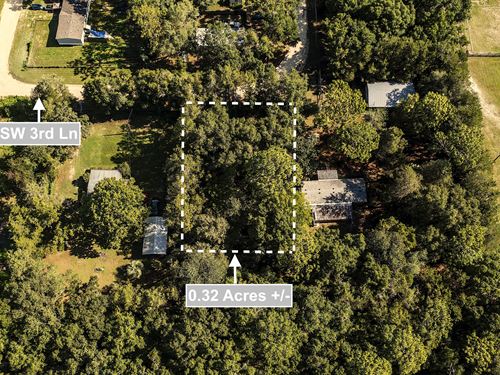 Hidden Haven in Ocala : Ocala : Marion County : Florida