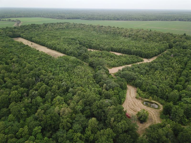 La, Tensas 93 Acres : Newellton : Tensas Parish : Louisiana