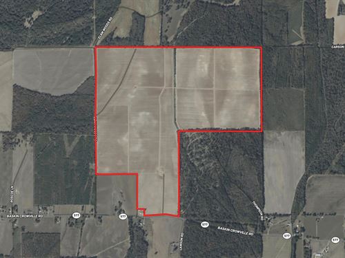 La, Franklin 440 Acres : Crowville : Franklin Parish : Louisiana