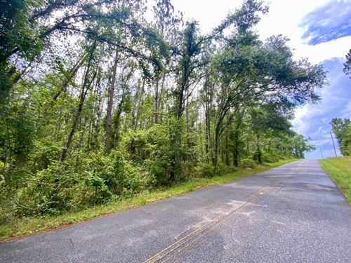 5.5 Acre Homesite : Lee : Madison County : Florida
