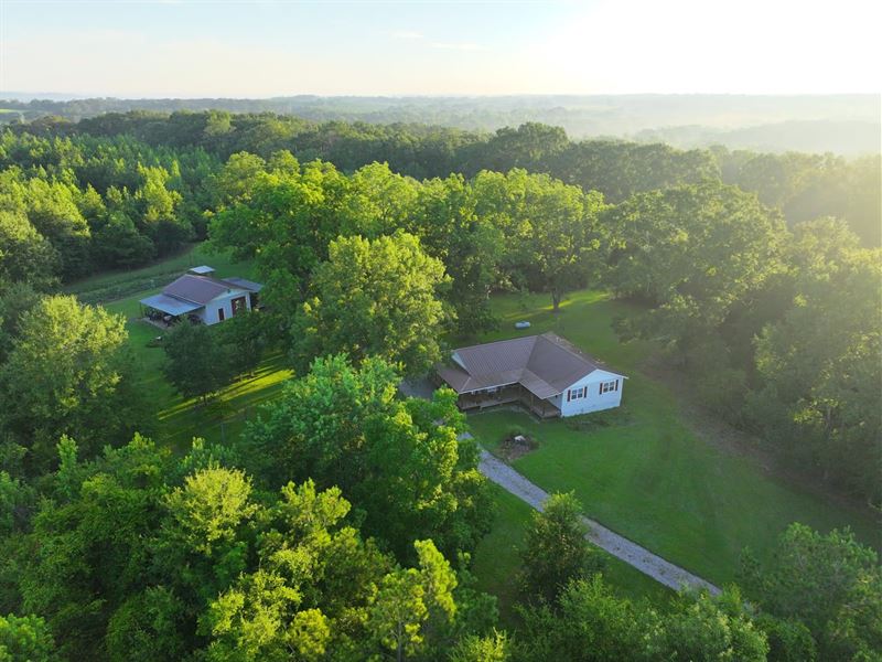 Secluded Home and 86 Acres of Wildl : Luverne : Crenshaw County : Alabama