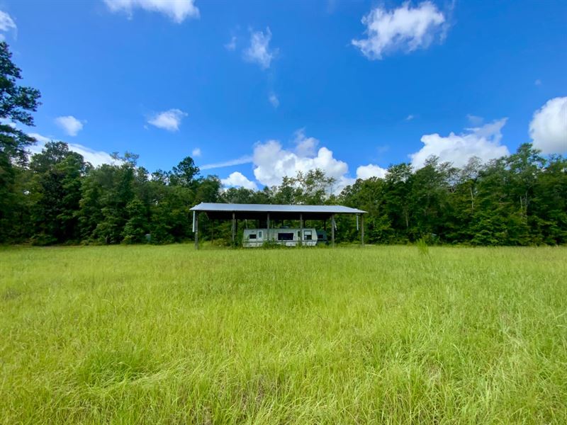 1069 N Salt Rd 44.35 Acres : Monticello : Jefferson County : Florida