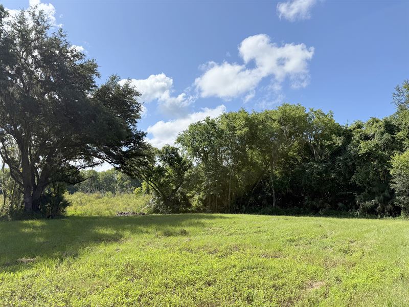 7 Acres in Citra, FL : Citra : Marion County : Florida
