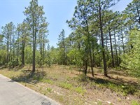 $299 Down to Build Your Dream Life : Dunnellon : Marion County : Florida