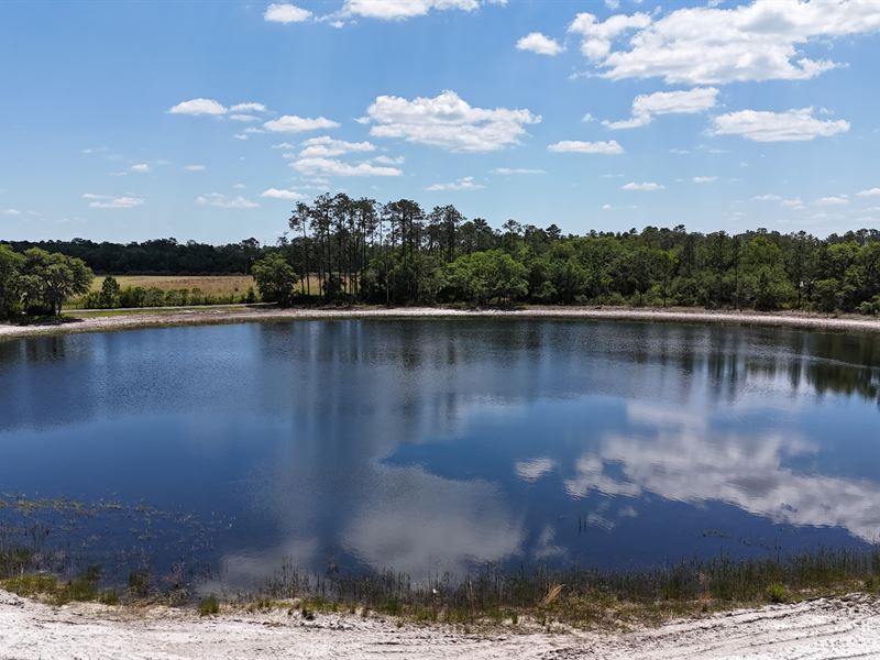 Lot 2, Two Pond Farms, 10.75 Acres : Citra : Marion County : Florida