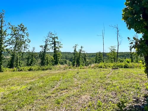 A View for Miles : Mountain View : Howell County : Missouri
