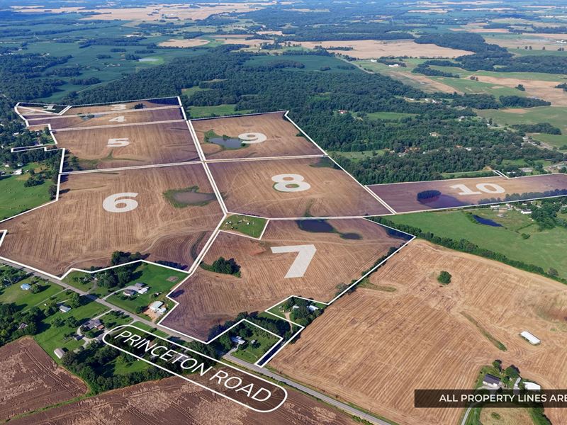 317 +/- Acres in 10 Tracts : Cadiz : Trigg County : Kentucky